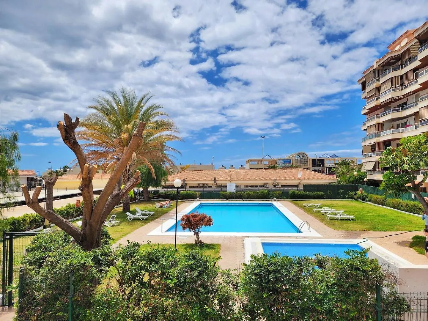公寓 Los Cristianos - Jardines Del Sur - As De Casas 西班牙